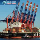 중국에서부터 EU / 영국 / 미국 해상운송 발송자 화물 운반 업무